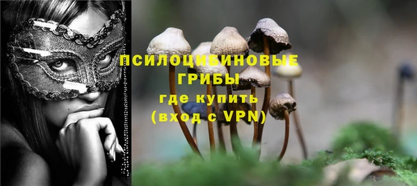 гашик Вязники