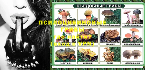 эйфоретик Вязьма