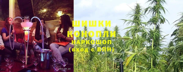 гашик Вязники