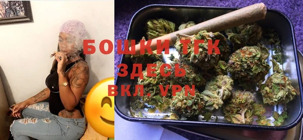 дживик Горняк