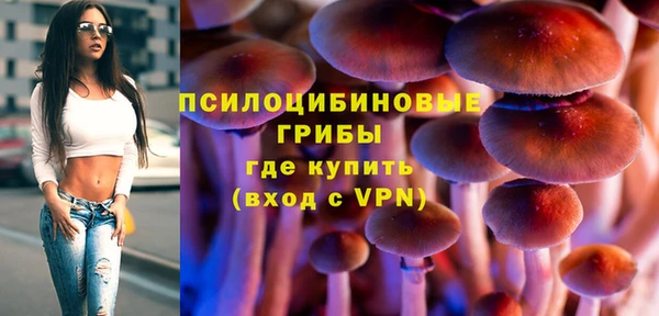 гашик Вязники