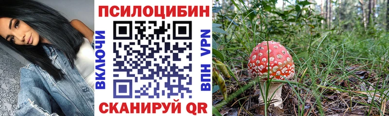 Купить  Октябрьск  Галлюциногенные грибы Psilocybine cubensis 