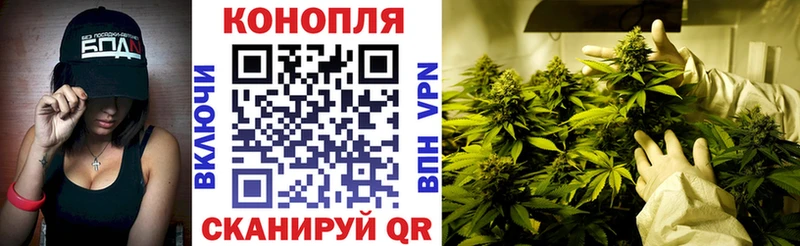 Купить  Октябрьск  Канабис OG Kush 